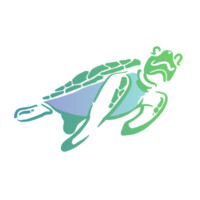 Honu Intervention logo - Similar company to Executive Option