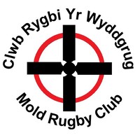 Mold Rugby Club - Clwb Rygbi Yr Wyddgrug logo - Similar company to Haslemere Community Rugby Club