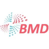 BMD IT SERVICES logo - Similar company to Samvriddhi Infotech