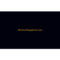 Allentumbaga logo - Similar company to Eighth Floor Advisors