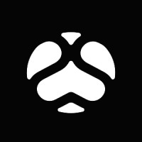 SOULCRAFT ALLSTARS logo - Similar company to Plick'S Flicks