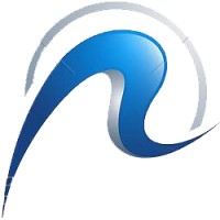 Rayons Information Technologies System Pvt.Ltd. logo - Similar company to Kiran Technologies