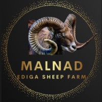 Malnad Ediga Sheep Farm logo - Similar company to Parklands Veterinary Group