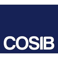 COSIB GmbH logo - Similar company to B1 Consulting