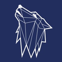 Wolfpack Management logo - Similar company to Wp Management Team