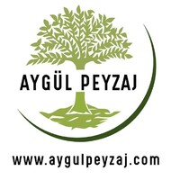 Aygül Peyzaj logo - Similar company to Ant Peyzaj