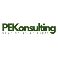 PEKonsulting logo - Similar company to Avantx