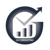 GV Consulting logo - Similar company to Vision Security Solutions Australia