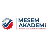 MESEM AKADEMİ DANIŞMANLIK SAN.VE.TİC. LTD. ŞTİ. logo - Similar company to Baba Kariyer Danışmanlık