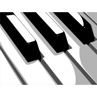 Steve Nelson Musician