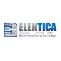 ELENTICA logo - Similar company to Techam