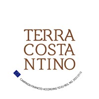 Terra Costantino logo - Similar company to Assonauto