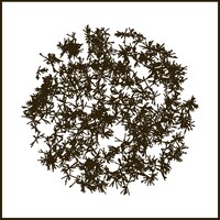 Datura logo - Similar company to Budebar