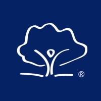 United Apprenticeships logo - Similar company to United Teaching