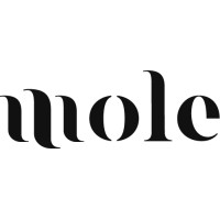 Mole logo - Similar company to Programatório