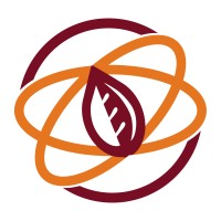 Band Gap logo - Similar company to Visualizai