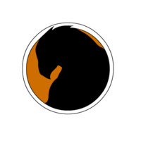 Desert's Falcon Group ( DFG FILMS ) مجموعة صقر الصحراء السينمائية logo - Similar company to Royal Studios La