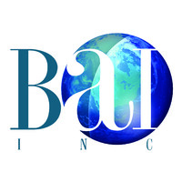 BAI Inc - Meeting Client Challenges with Vision and Innovation logo - Similar company to Message In A Window