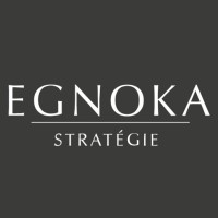 EGNOKA STRATEGIE logo - Similar company to Tanook Digital
