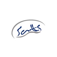 Satts Group logo - Similar company to Dataspace Academy