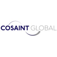 Cosaint Global LLC logo - Similar company to Feel Nectar