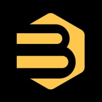 Bravais logo - Similar company to Infrasoft.Be