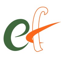 Eficens Systems logo - Similar company to Snowstack Llc