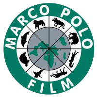 Marco Polo Film AG logo - Similar company to Terra Mater Studios Germany