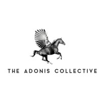The Adonis Collective logo - Similar company to Coreco Private Equity