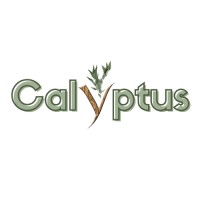 Calyptus logo - Similar company to Findtalunt™