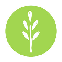 The Nutri Guy logo - Similar company to Ardencraft Technology