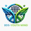 BDS-Youth Wing logo - Similar company to Flow Mind Care