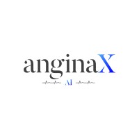 AnginaX AI logo - Similar company to Rainmaker Group