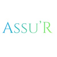 ASSU'R logo - Similar company to Dhow Net