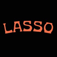 Lasso logo - Similar company to Roiclear
