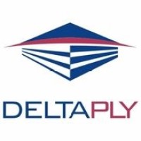 DeltaPly logo - Similar company to Integrated Services, Inc