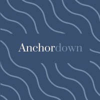 Anchordown logo - Similar company to The Disinformation Project