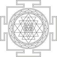 Center For Somatic Psychotherapy logo - Similar company to Your Pace Psychotherapy
