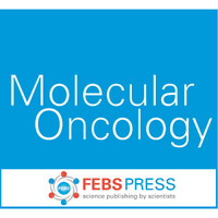 Molecular  Oncology logo - Similar company to Dkfz Postdoc Network (Pdn)