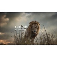 Lonelion Productions logo - Similar company to Arthart Studio
