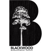 Blackwood Management Group logo - Similar company to White Bison