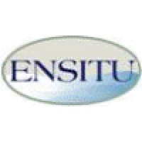 Ensitu Engineering Inc