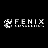 Fenix Consulting logo - Similar company to Mit Cyber Security And Solutions