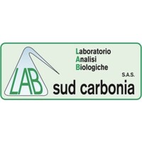 LAB SUD Carbonia logo - Similar company to Alea Ricerca & Ambiente