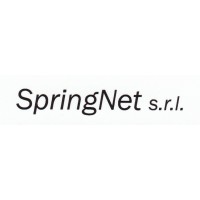 Springnet srl logo - Similar company to Icona Srl