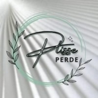 Plisse Perde logo - Similar company to Plissee-Welt