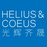 Helius&Coneus 光辉齐晟 logo - Similar company to Whaley