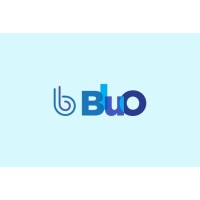 BluO Stays - Short Term Rentals logo - Similar company to Hostizzy® Villas & Stays