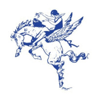 Newswomen’s Club of New York logo - Similar company to Opslayer