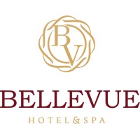 Bellevue Hotel & Spa logo - Similar company to Ethiopulse97